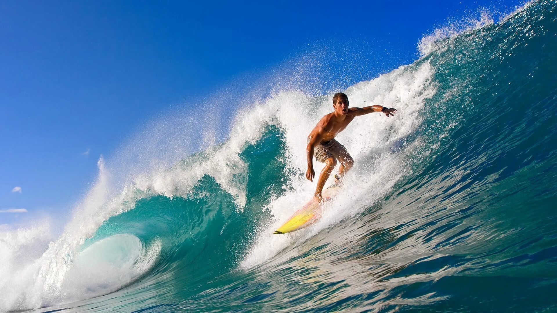 联合主办城市签署合作协议，共同推动赛事发展，联合承办和联合主办的区别